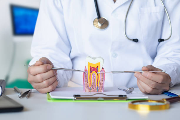 Best Pediatric Emergency Dentist in Antwerp, OH